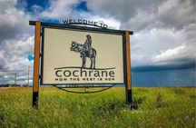 Day Tour to Lake Louise, Johnston Canyon & Banff Ave From Calgary