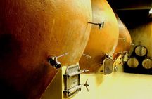 A Hop-On Hop-Off Wine Tour Service from Casablanca 