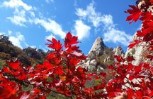 Mt. Seorak+Nami Island+Garden of Morning Calm Day Trip from Seoul