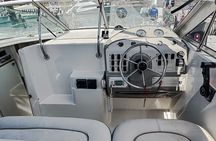 Luxury Yacht Charter and Arch Tour in Cabo San Lucas