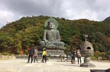 Autumn Foliage-Mt. Seorak, Sokcho Beach, Market, Observatory