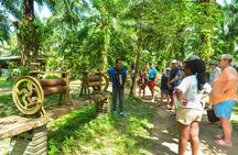 Khao Lak Bamboo Rafting and Sea Turtle Conservation Center