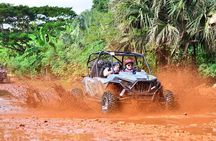 Half-Day Dune Buggy Tour from Punta Cana