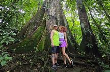 Cataract and Lazy Coffee and Chocolate Experience in Costa Rica