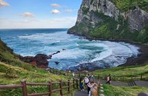 Jeju Private Taxi Tour with a Licensed English Guide-Driver