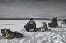 Husky Sprint 2 km Winter Sled Ride and Farm Visit