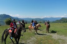 Horseback Ride through the Emilian Hills from Vergato