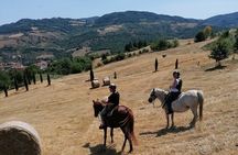 Horseback Ride through the Emilian Hills from Vergato