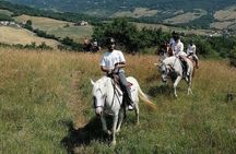 Horseback Ride through the Emilian Hills from Vergato