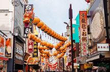 Kamakura/Enoshima/Yokohama Day Trip from Tokyo in Private Van