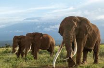 5 Days Group Joining Safari through Northern Circuit Destinations