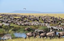 4-Day Group Tour Explore Tarangire, Serengeti and Ngorongoro