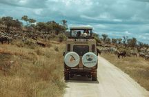 5 Days Group Joining Safari through Northern Circuit Destinations