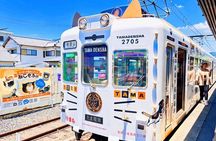 Osaka Wakayama Cat Train, Seafood market, Hot Springs Tour