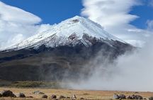 Andes and Amazon in 3 days: Cotopaxi, Quilotoa, Baños, Amazon