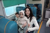 From Delhi: All-Inclusive Taj Mahal Tour by Train with Escort