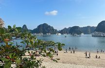Best Halong 1 Day with Premium Cruise, Buffet Meal, Sunset Party