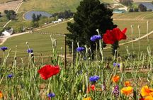 Cape Winelands Private Tour to Stellenbosch and Franschhoek