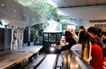 Peak Tram & Sky Terrace Guided Tour | Hong Kong