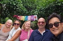 Jeju Private Taxi Tour with a Licensed English Guide-Driver