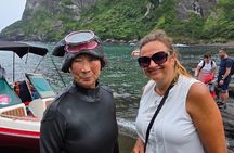 Jeju Private Taxi Tour with English Speaking Guide & Driver