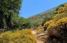 Explore Naxos Waterfall and Enjoy a Traditional Full Meal,Private