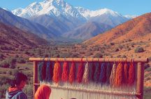 Rug Art Atlas, Camel Experience & Tea from Marrakech
