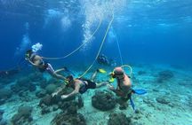 Curacao Sea Trek Snuba Combo Walk Tour and Dive the Ocean