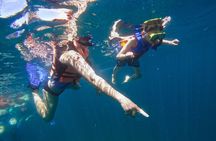 Famous Pato Bobo Adventure Boat