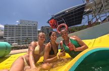 Famous Pato Bobo Adventure Boat