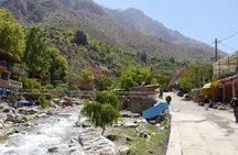 Ourika Valley Day Trip From marrakech - Lunch Included and Guide