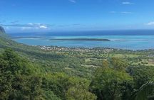 Swim With Wild Dolphins and South Tour with Lunch