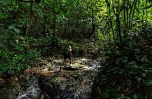 Full-Day Adventure in Corcovado National Park from Drake Bay