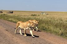 3-Day Masai Mara National Reserve