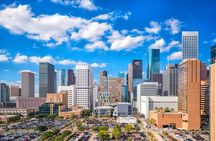 75 Min Best of Houston Small Group Tour 