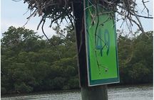 4 Hour Keewaydin Island Beach Tour