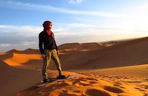 Dubai Half Day Desert Safari Dune Bashing Camel Ride BBQ Dinner