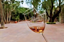 Queretaro Wine Route and Magic Towns
