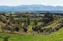 Merino Farm Experience