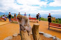 Kyoto: Arashiyama Walking Tour – UNESCO World Heritage