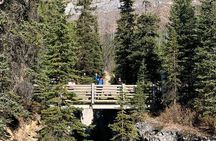 Johnston & Marble Canyon Explorer, Banff's Nature Day Tour