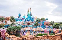 Private Tokyo Disneyland/DisneySea Tour with Car Transportation