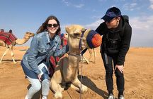 Dubai Private Morning Safari, Camel Ride, Sand Board & Falcon Pic