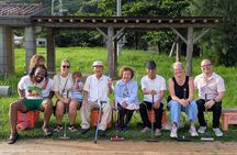 Private tour with local licensed interpreter guide w/van