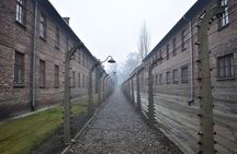 Auschwitz-Birkenau Memorial and Museum Guided Tour from Krakow