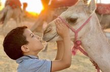 From Marrakech Swimming Pool, Camel Ride, Lunch in Agafay Desert