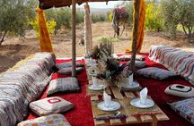 From Marrakech Swimming Pool, Camel Ride, Lunch in Agafay Desert