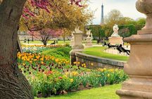 Louvre Museum Guided Tour Options with Timed Entry