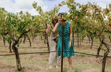 Hunter Valley Wine, Food & Vine Tour with Behind the Scenes
