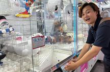 Tokyo: Akihabara Anime & Game Pop Culture Tour